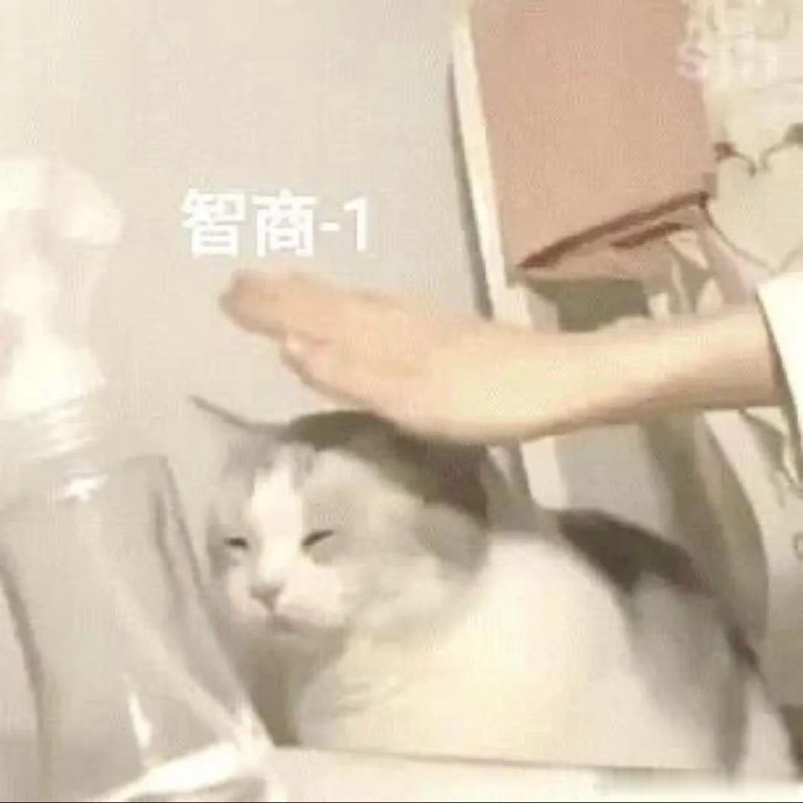 徐克丁克约定反悔杠精为了给去世的施南生辅酶，非要给徐克造谣出一个孩子，女助理只是