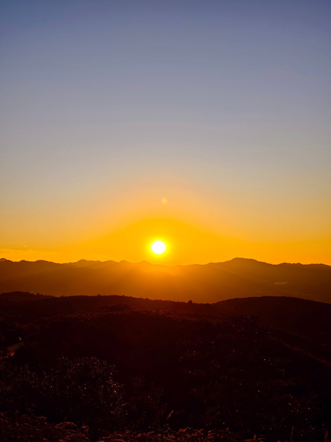 一条plog告别十一月十一月再见    “喜欢日落余晖，喜欢风与自由。”   十