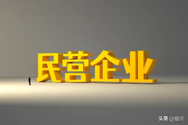 民营企业能不能成为未来发展的主力军，关键还得看自身。要是能跟着时代步伐走，有扎实