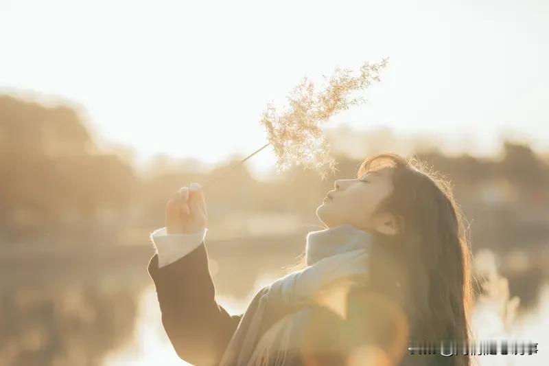 你羡慕苗京京的收益吗？

说实话，我是真的很羡慕，说不羡慕那是假的。

但有一说