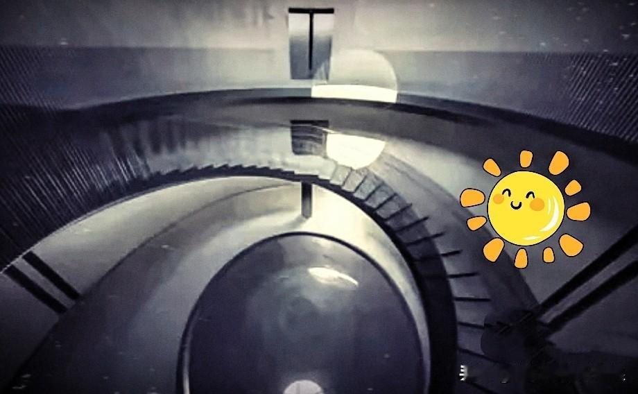 2025年10月12日，大湾区的“大水缸”河源，突然多了个惹眼的家伙。

一位日