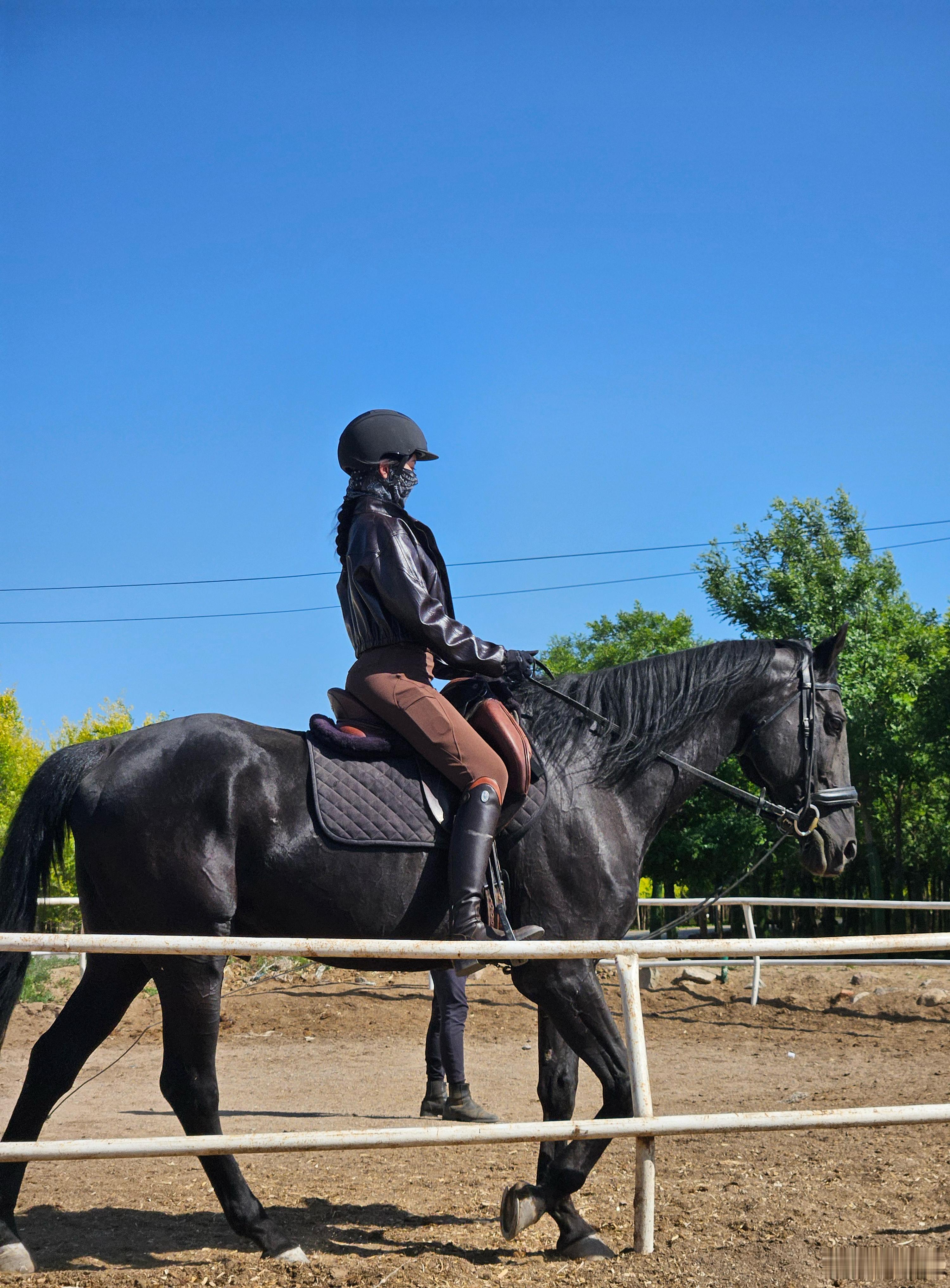 宁可热死也不能晒死🐎 ​​​