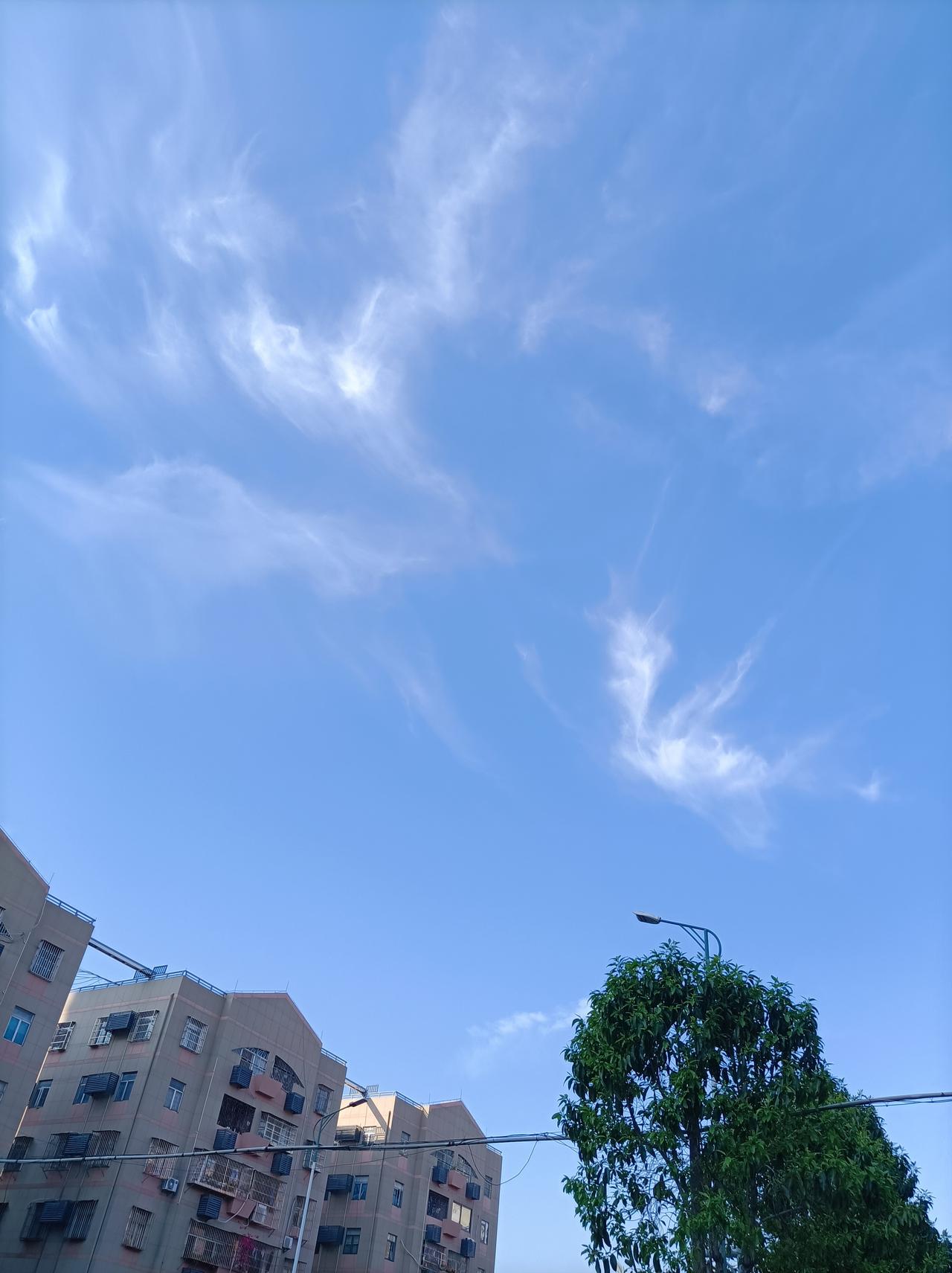 随手拍一张天空照刚在小区门囗拍的天空照，深圳今天又是一个大好的晴天，这蓝天白云真