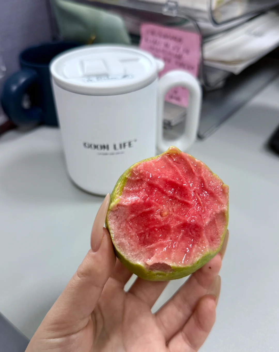 求推荐好吃的芭乐店铺