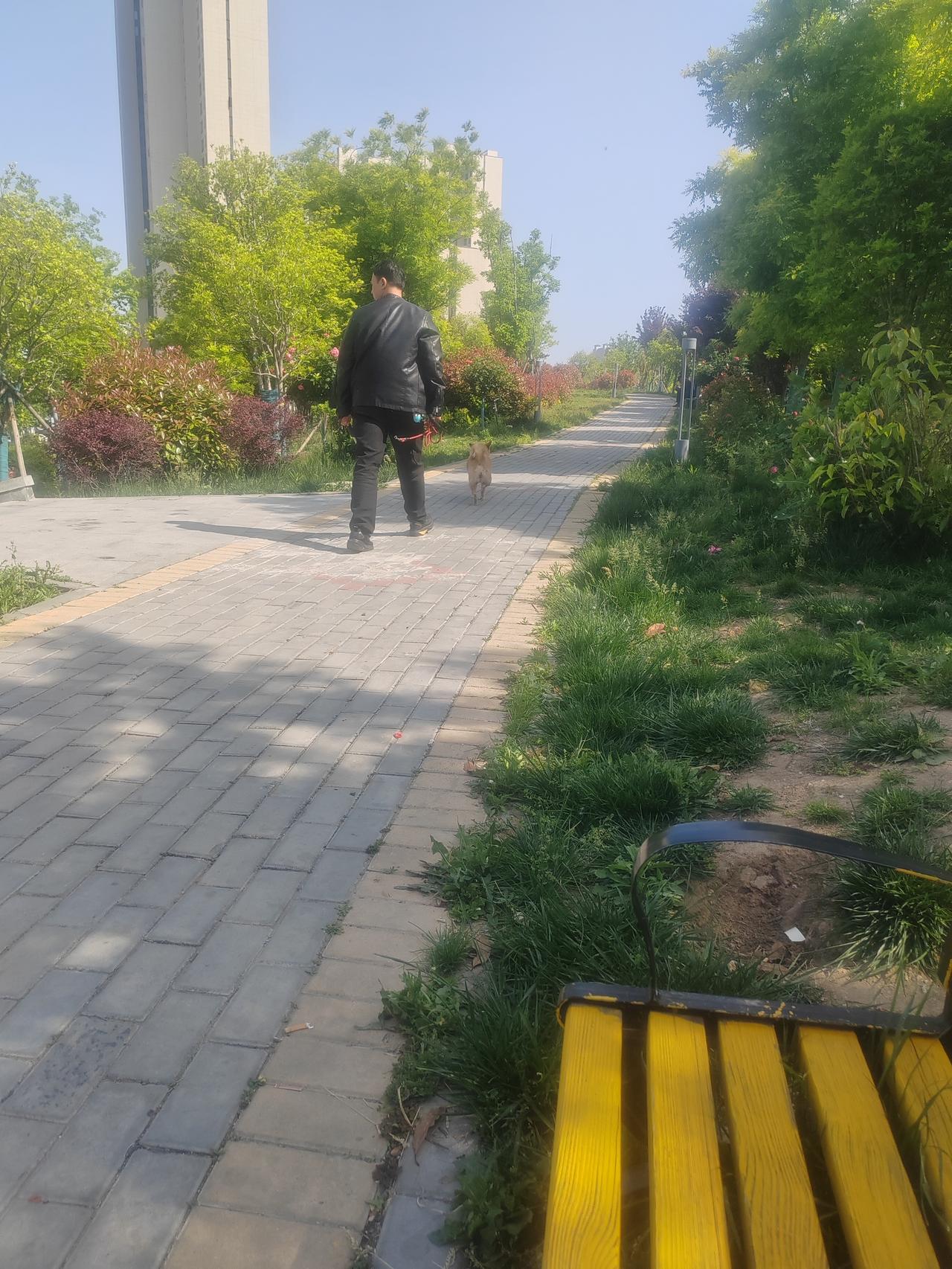 这是在和顺路与稻香路交叉口东南那个街角公园拍到的。也就是下午3点多一点，我在这个