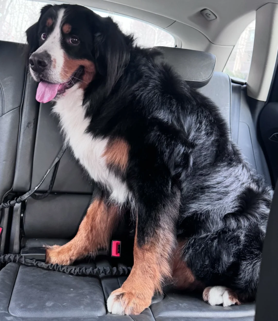 special one洗完后亮亮的