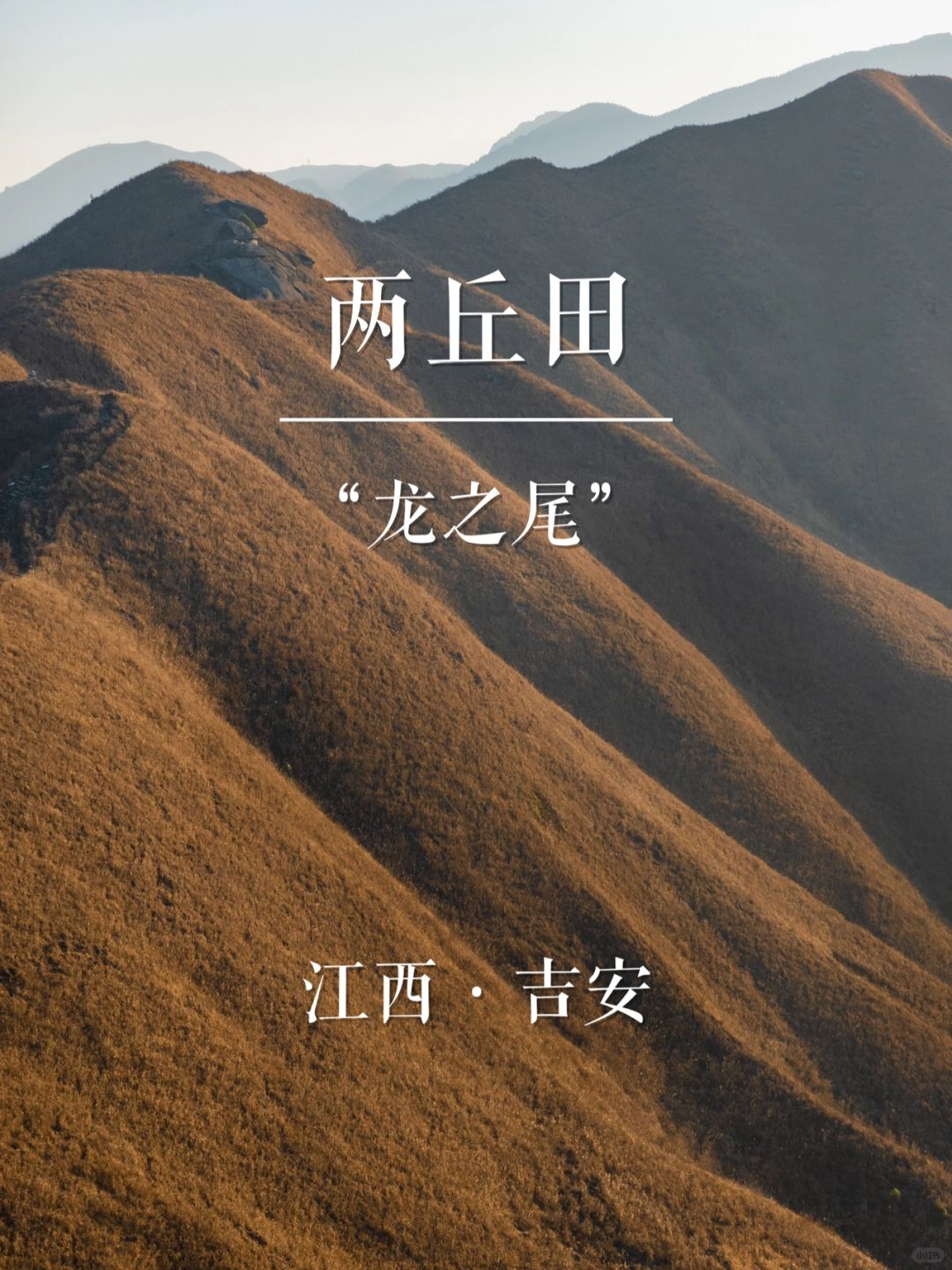 “龙之尾”两丘田 | 华东名山录