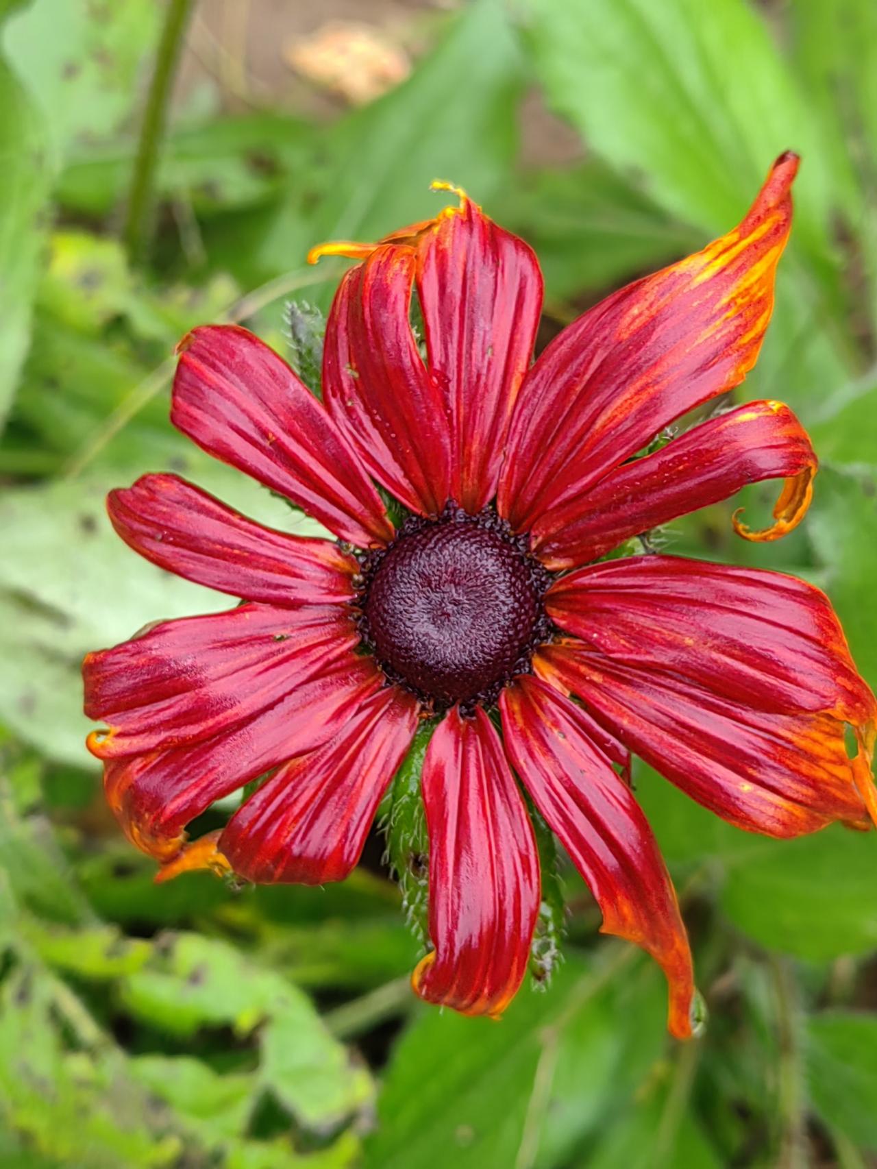 成功的人身上没有缺点吗?成功者不仅有缺点，而且有大缺点，有大缺点者必有大优点，才
