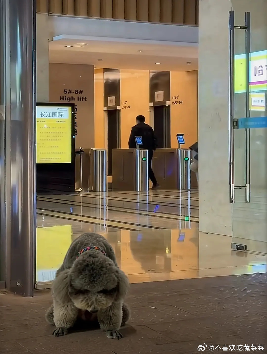 tg 皮皮也跟公司申请啦  皮皮最爱粉丝 皮皮s都去夜排 