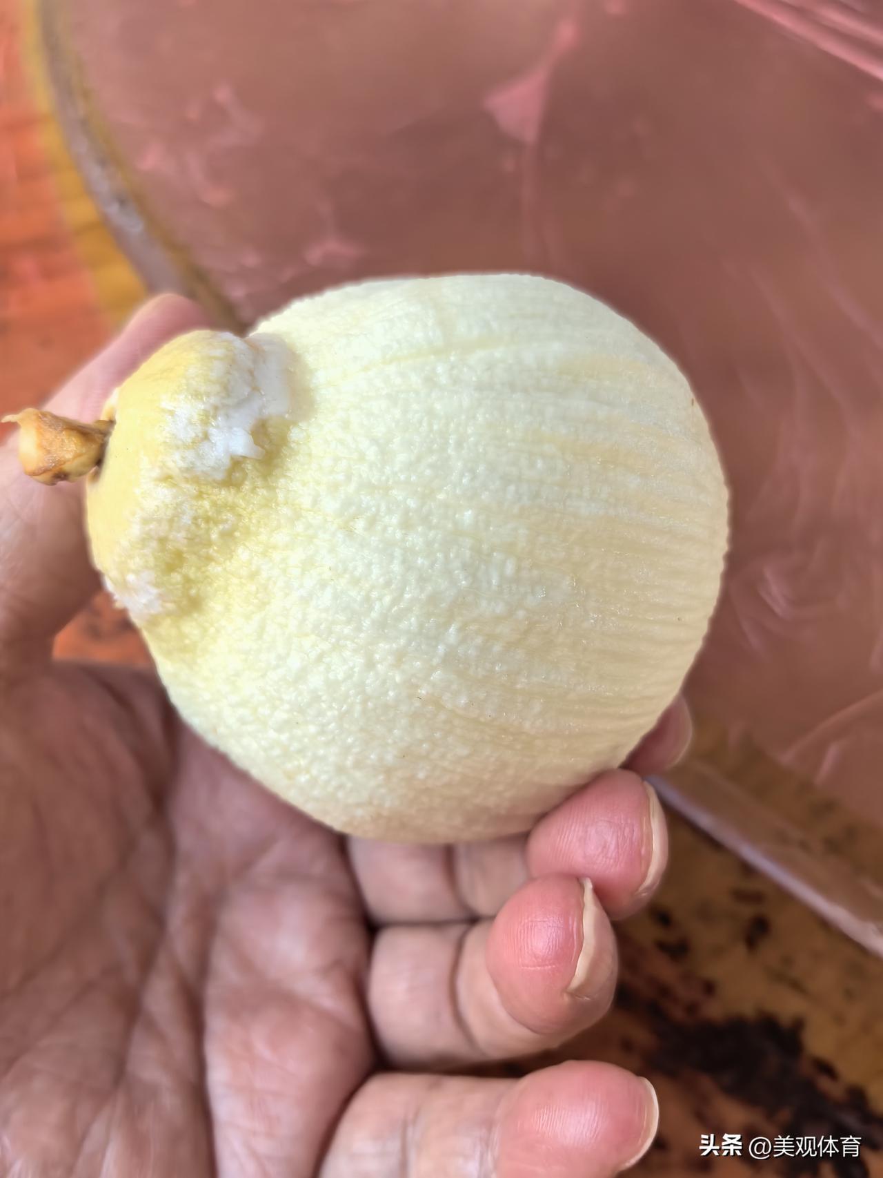 据说椰子的果实就是这软绵绵的“椰宝”，剥开看像糠心萝卜，吃起来有一股椰香。