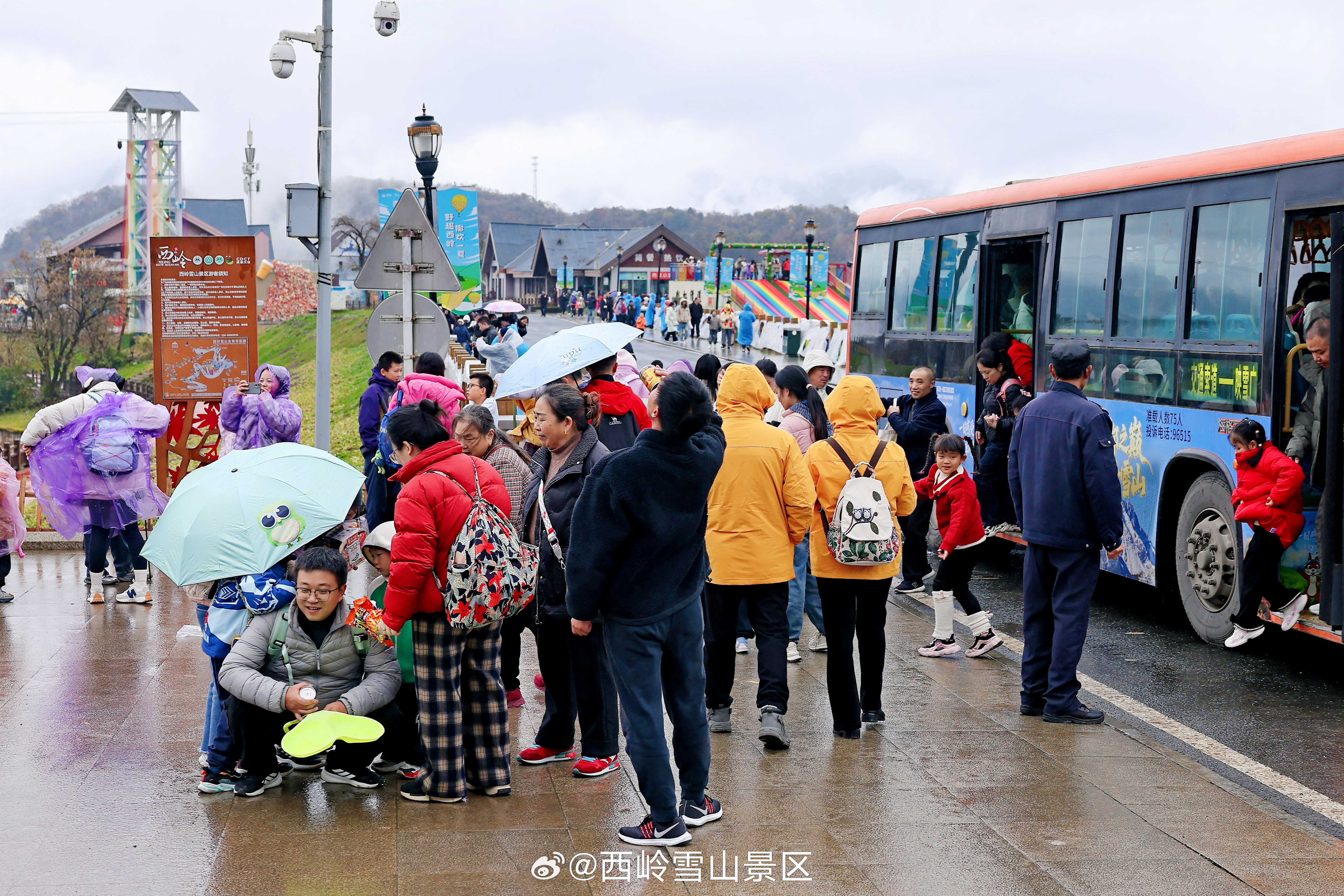 【西岭雪山秋假第二天·彩林雾凇漫游季】🌲 第二天，云雾散尽，邂逅漫山遍野的秋日