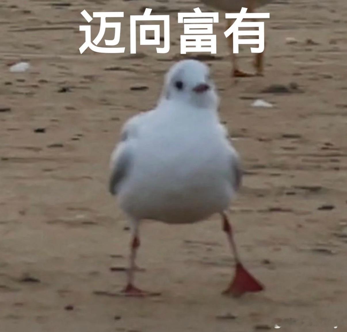 来自MotorGogo管家的红包预告周四下午14:14记得来领取铁粉红包🧧请跟