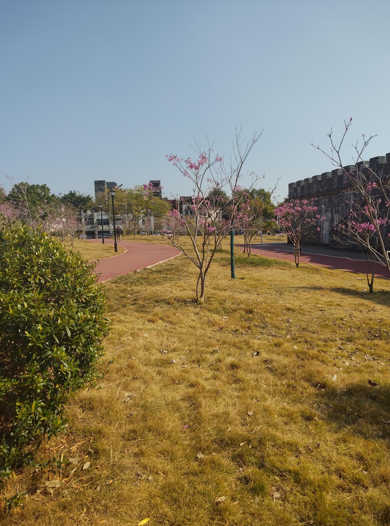 格陵兰岛居民对美国购岛计划那是相当抗拒。美国总统特朗普上任后多次扬言要得到格陵兰