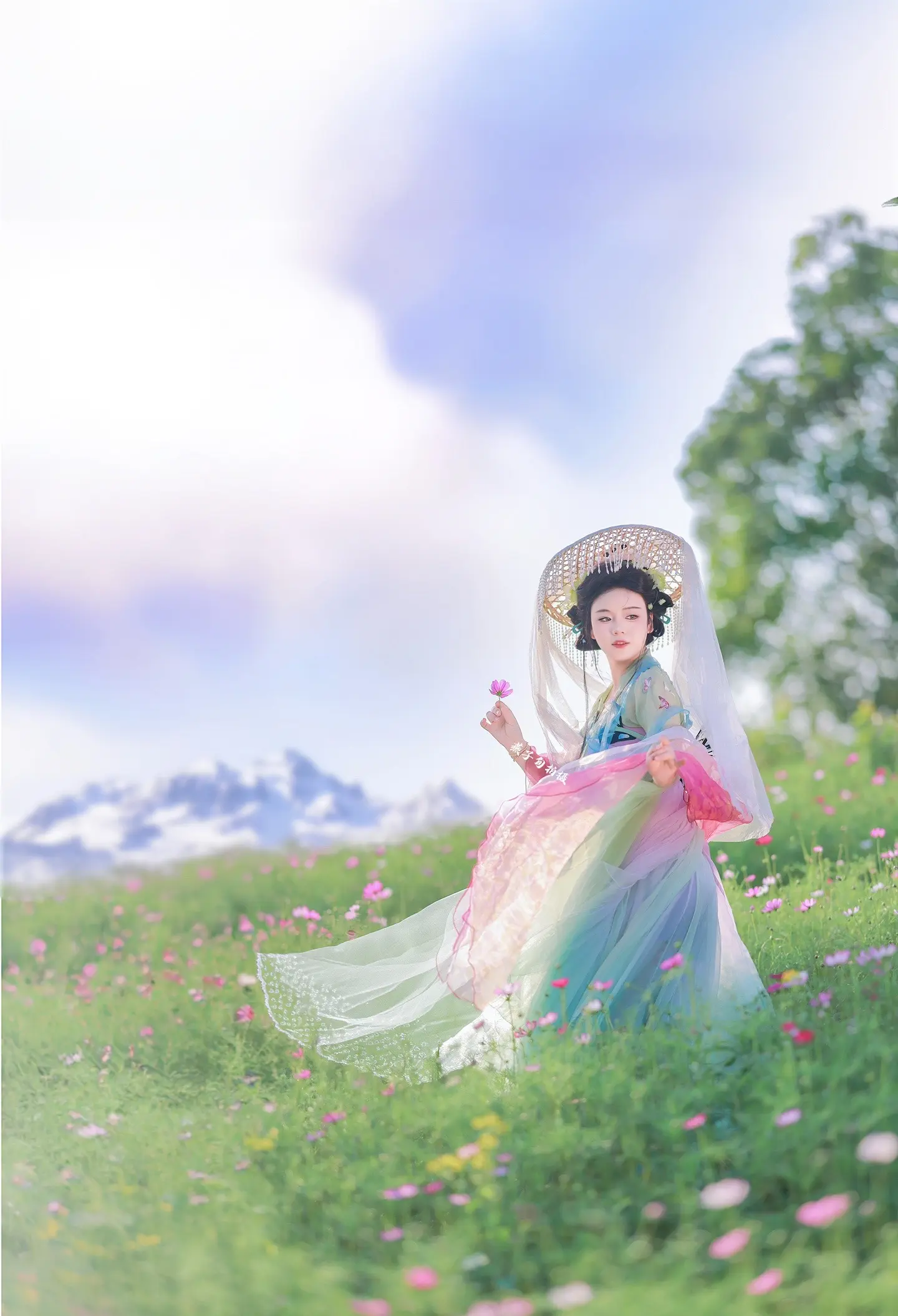 格桑花海里的小蝴蝶仙～