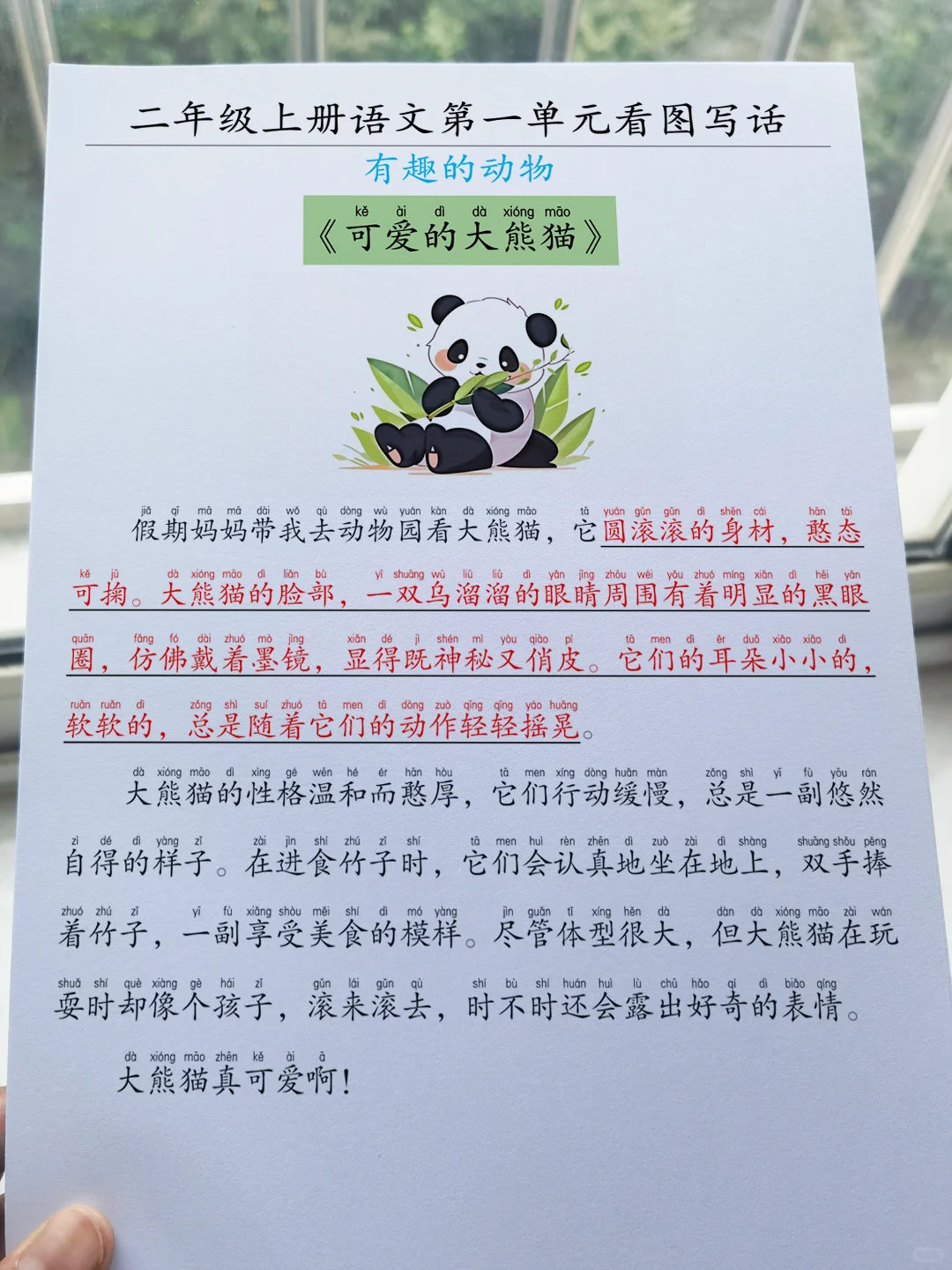 动物奇遇记动物奇趣  二年级语文看图写话来啦！超可爱的小动物们——软萌小白兔、毛
