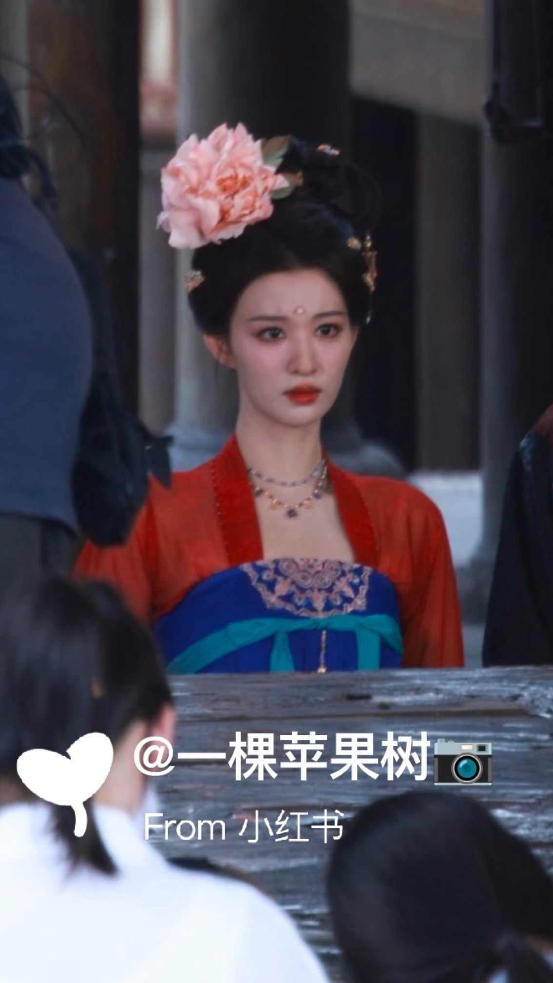 我天呢好大一朵花 