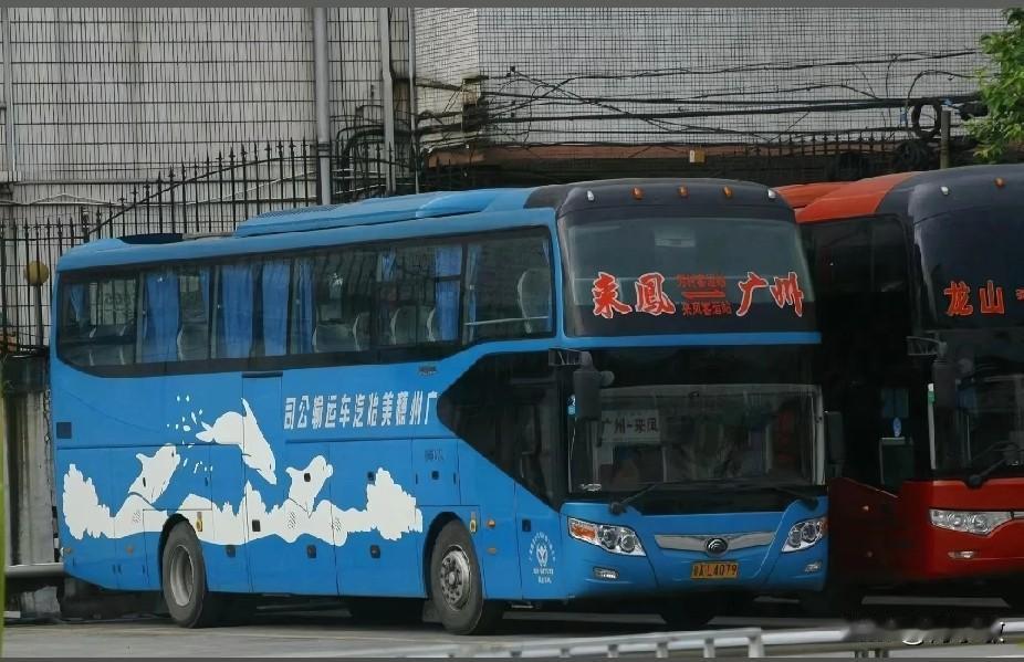 广州 东莞 湖北曾经开往广东的省际长途线路（一），不知还有多少在跑？

图片素材