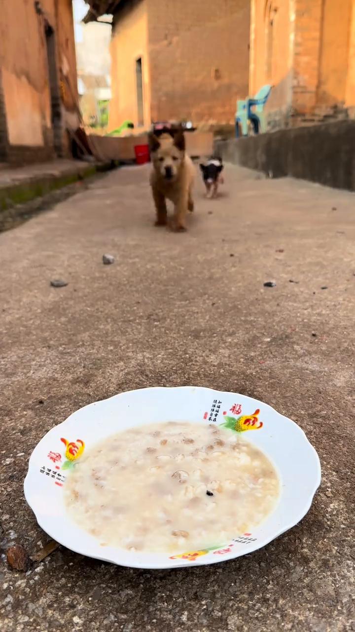 啊！