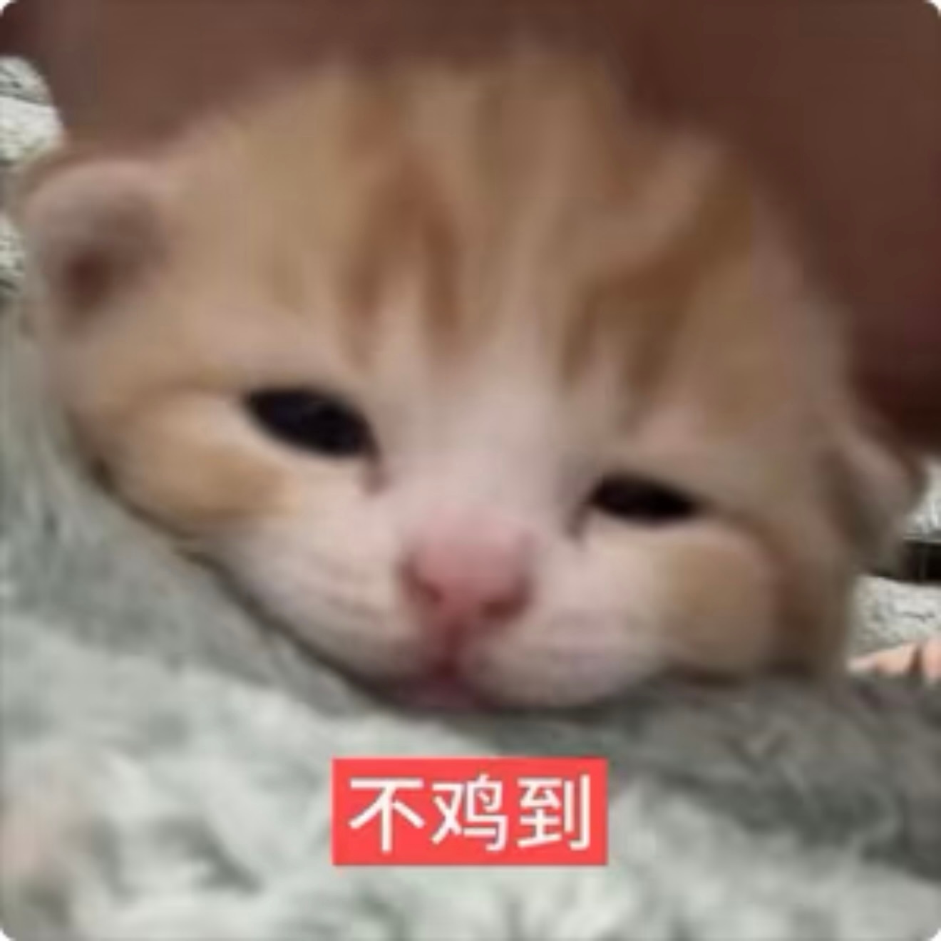很累。唉。 