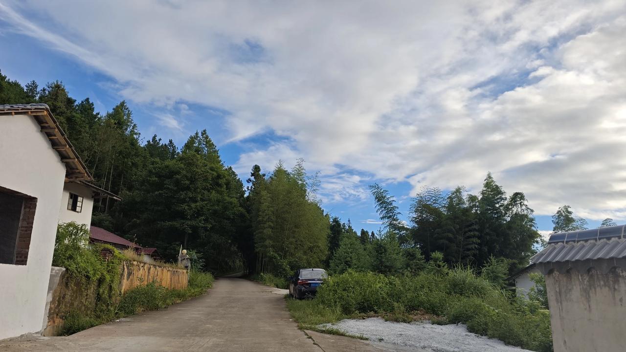 小院门口的风景，太美……昨天用了一天的时间把猫屋的地面铺上了水泥，真是不容易，搞