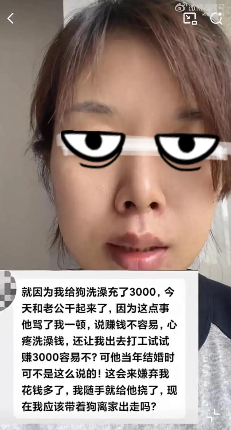 女子给狗洗澡充卡3000元被老公骂，说赚钱不容易、自己不赚钱不懂得珍惜。女子问网