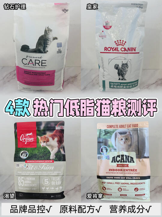 低卡低脂减肥猫粮大盘点❗肥胖猫咪进❗