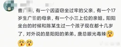 无锡婚外胚胎案：一个家最狠的报应，从来不在夫妻之间那桩胚胎案还在吵，但真正让我后