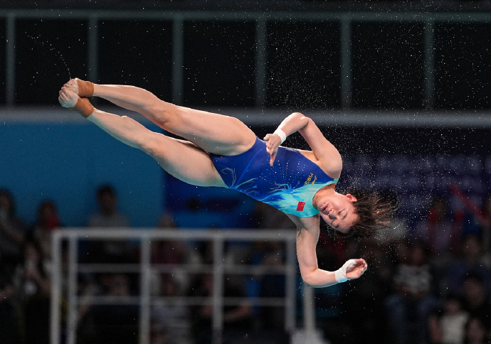 #全红婵缺席2026跳水世界杯总决赛#2026年世界泳联跳水世界杯总决赛将于5月