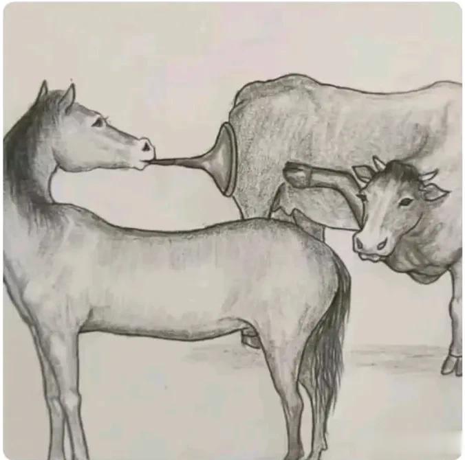 什么成语？