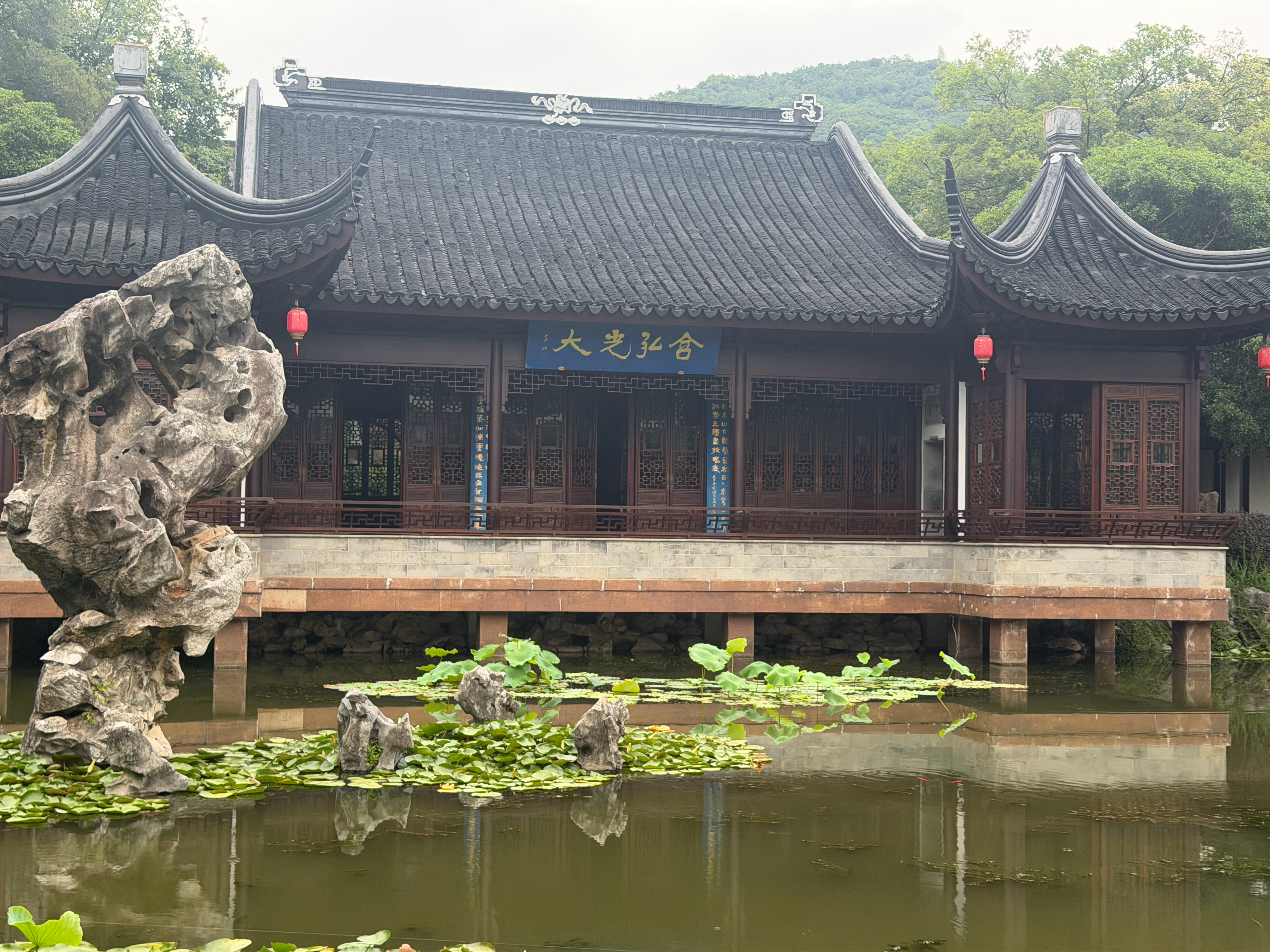 时宜时宜打卡白鹿