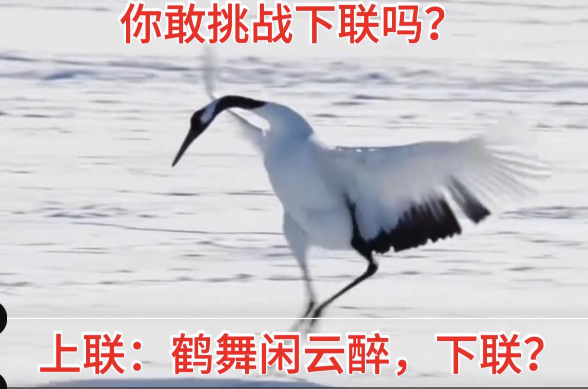 上联：鹤舞闲云醉，下联挑战你的文学才华！
开心对对联！带定位晒今日生活
我的今日