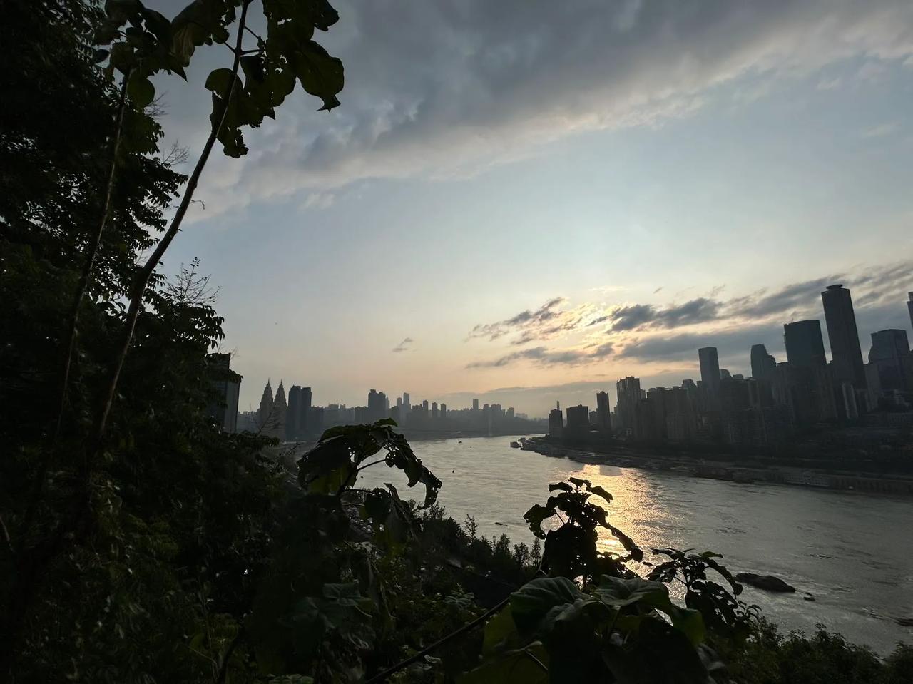 
重庆，这座山城，以其独特的地理和文化魅力闻名。在山顶上，树木与城市景观相映成趣