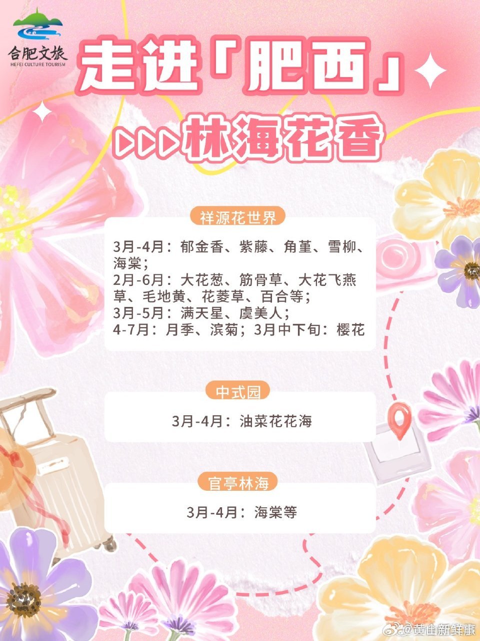 请收好合肥春日赏花地图 🌸樱花粉白如云滨湖国家森林公园、骆岗公园、四季花海、逍