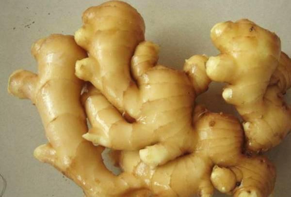 生姜对人究竟有多少好处？看完便知。
许多人家中常备生姜，却仅将其当作去腥做菜的“