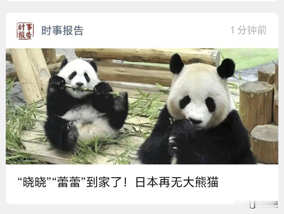 日本再无大熊猫