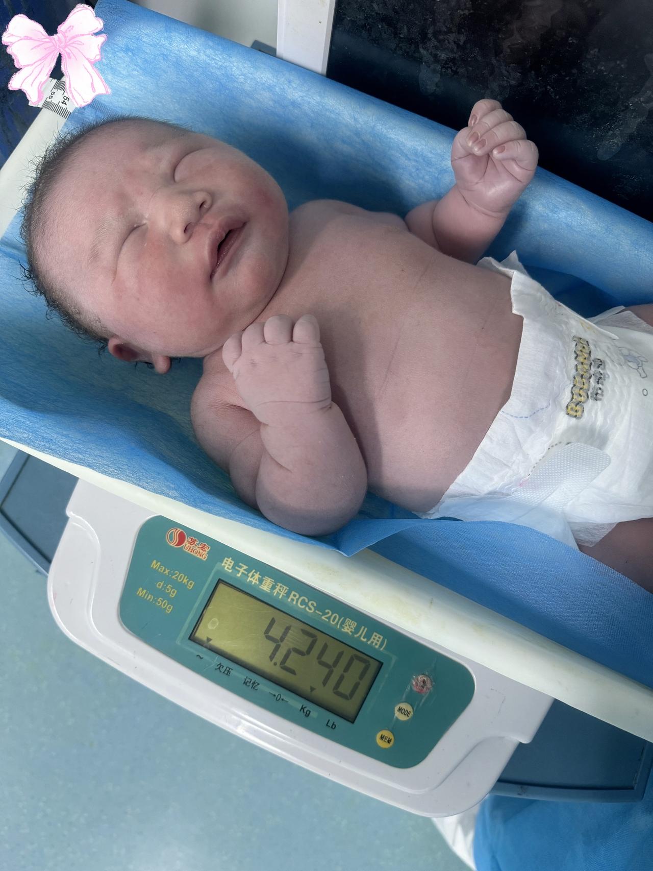 软绵绵的小胖墩🙈
胖嘟嘟小可爱