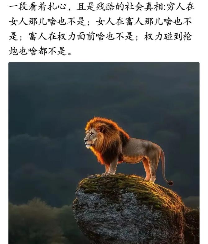 【社会&社会】 ​​​