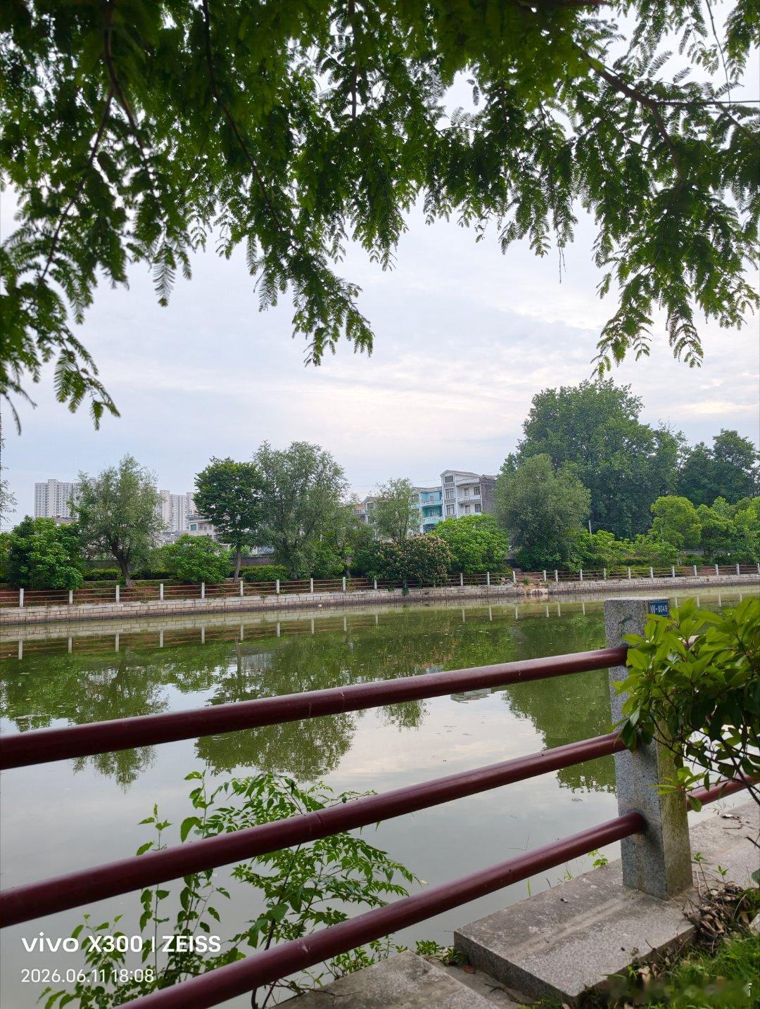 生活，不会告诉我们路怎么走，只会教我们怎么去适应，该走的弯路，该吃的苦，该撞的南