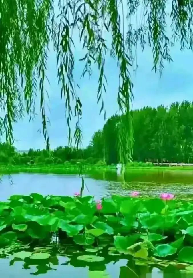 新柳吐勾千般爱，
春桃绽蕊万丝情。