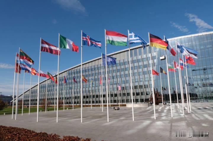 北约还能撑过五年吗？

北约在未来五年内大概率不会“物理消亡”，但会经历一场极其