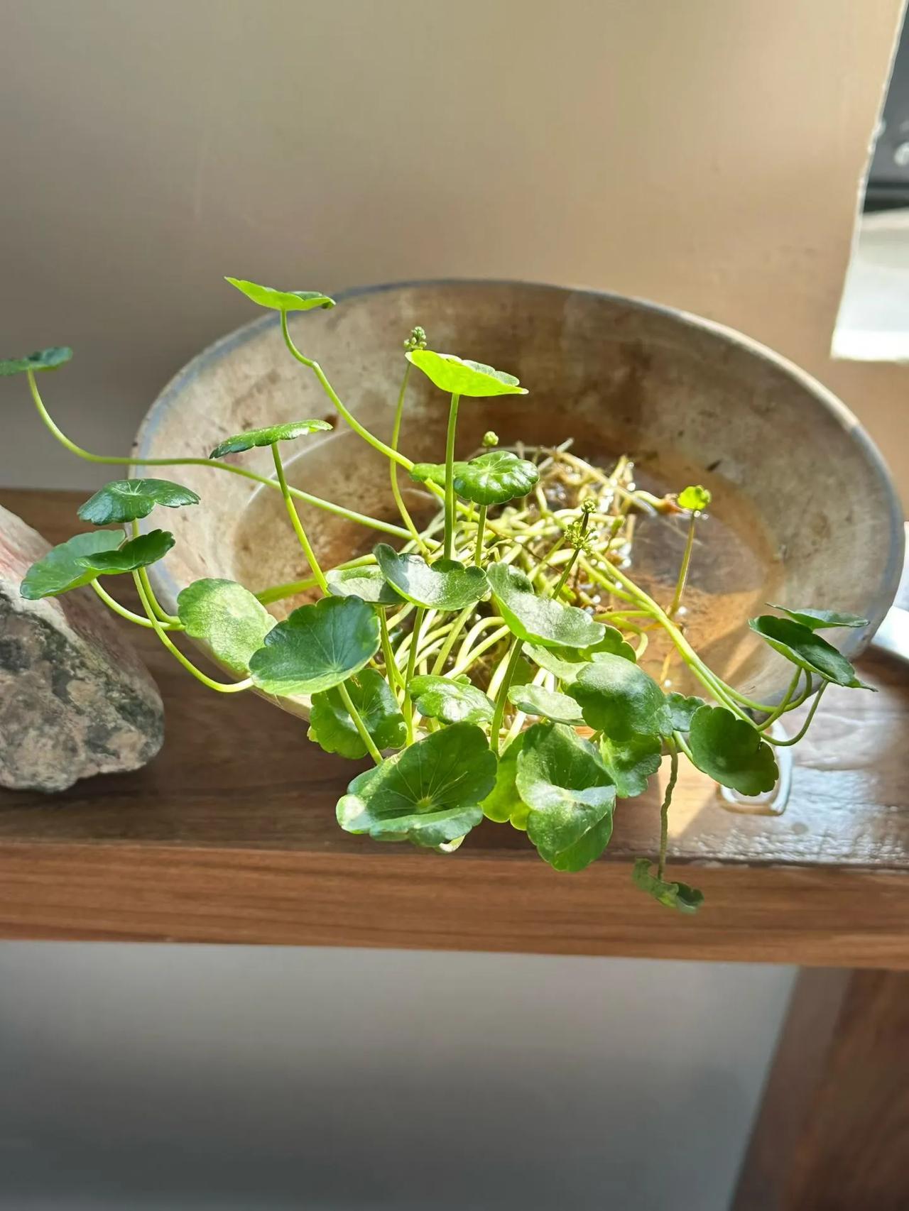 适度努力，结果随缘。