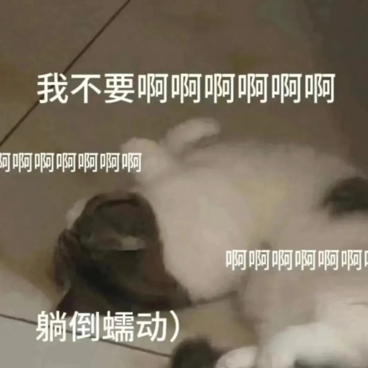 我说一个点！！喜欢视奸我可以，但千万别爱上我儿子我老公我女儿啊✋🏻这是万万不允