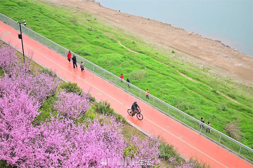 #重庆江滩公园春如画#正是一年春光好。近日，重庆市南岸区南滨路雅巴洞江滩公园滨江