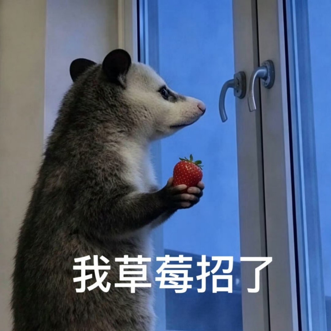 尚公主别家都有端午物料我好羡慕哦～同一家公司别人都有何为意啊～ 