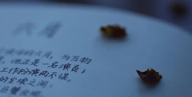 现在的网红为博流量真是无所不用其极。女网红怀孕买榴莲被丈夫骂，发网上博眼球，结果