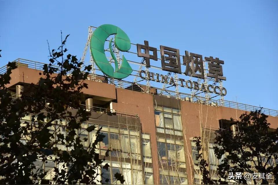 烟草行业最高权力机构被查七名高官后，没有看到全国查各省市烟草公司，这不是不查，是