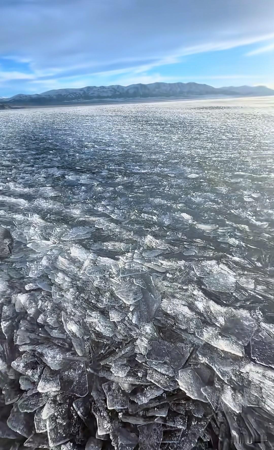 牢a的风，终于还是吹到了我们的网海，尤其是他所暴露出来的每一条信息，都足以让国人