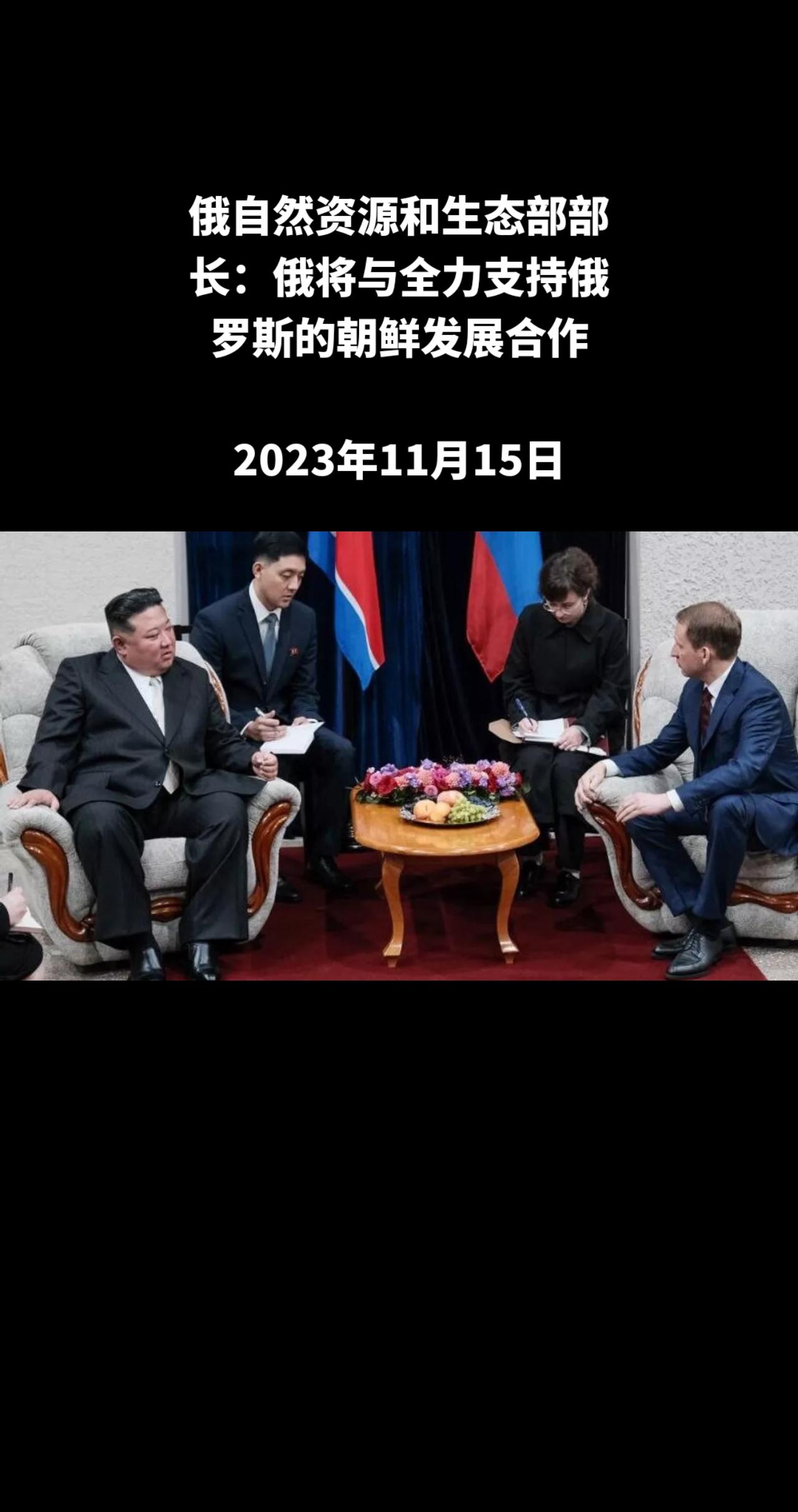 照片 : 俄罗斯自然资源部

俄罗斯自然资源和生态部部长、朝俄政府间经贸科技合作