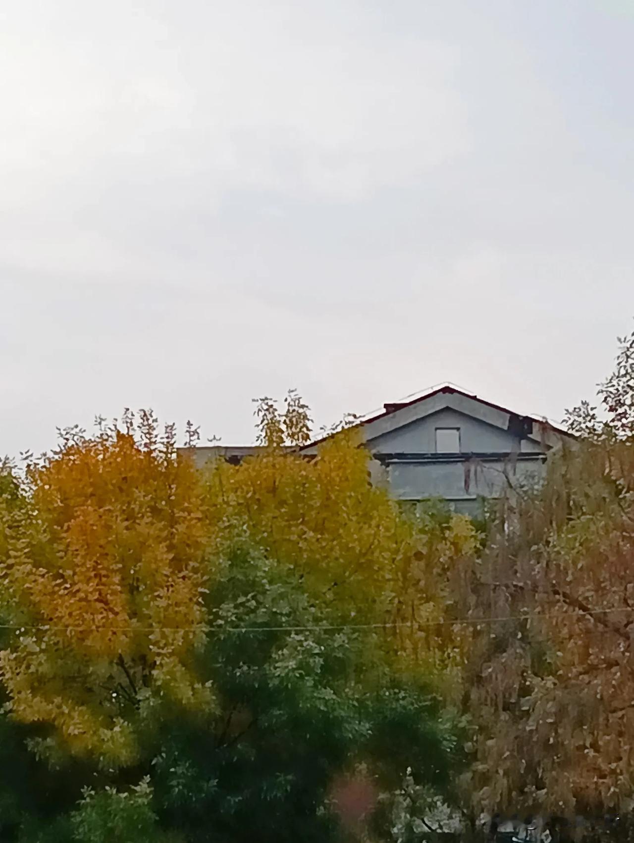 秋意浓，秋色艳#拍一张秋日景色##秋景生活随拍# #随手拍秋季景色#
