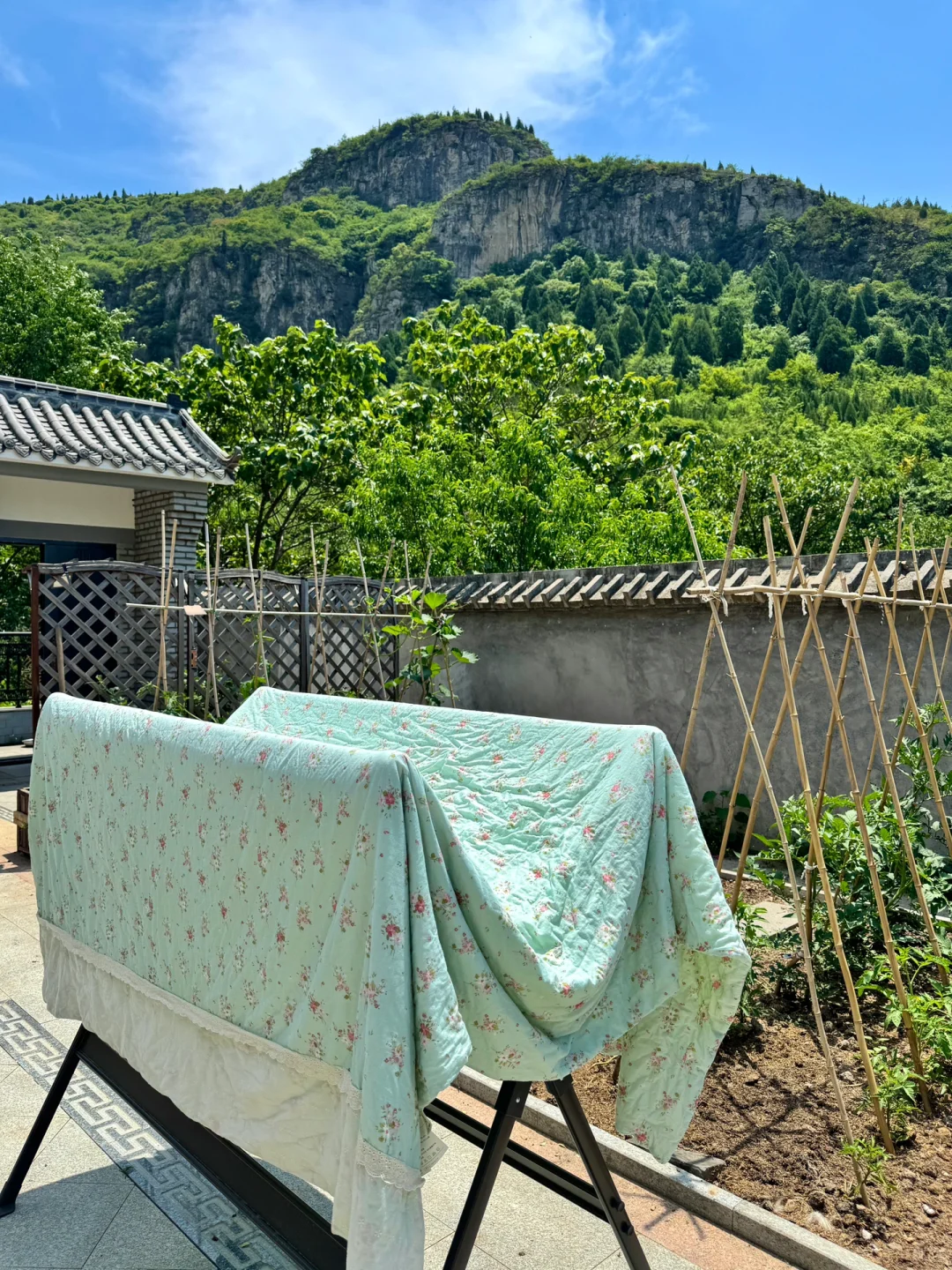 黄帝内经：女子在家静养是大补（淡人心态）